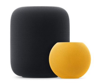 An Apple HomePod and HomePod Mini mono speakers.